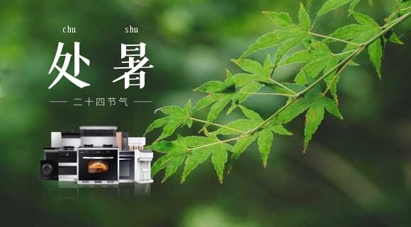 處暑 | 告別“蒸桑拿”，在廚房邂逅科恩集成灶